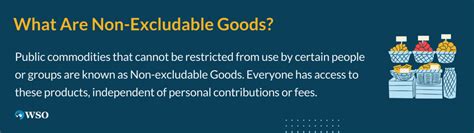 non excludable definition economics